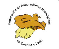 Federacion de asociaciones micológicas de Castilla y León