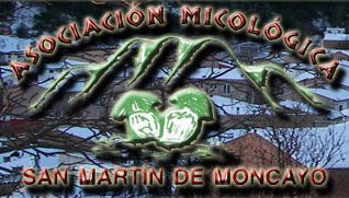Primavera Micológica 2010 en San Martín de la Virgen de Moncayo